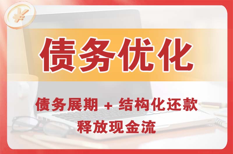 孟村债务优化