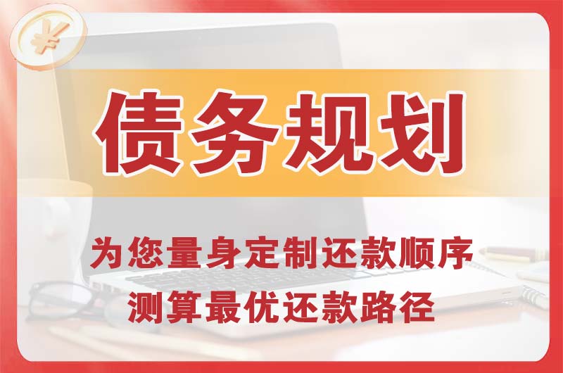 孟村债务规划
